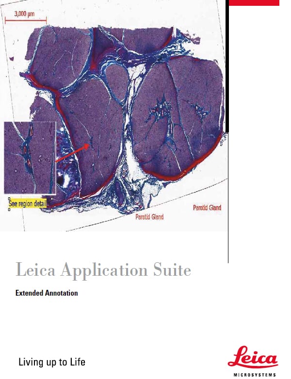 Leica Application Suite Extended Annotation