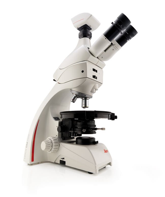 DM750 P Upright Microscope