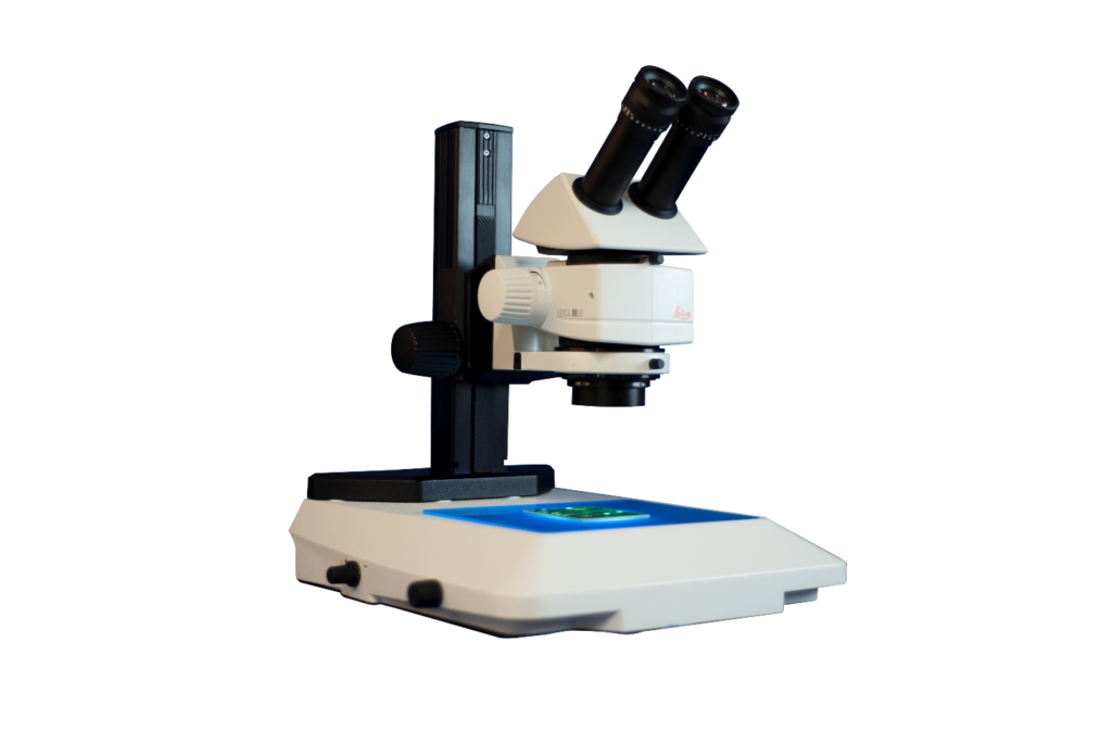 M 60 Modular Stereo Microscope