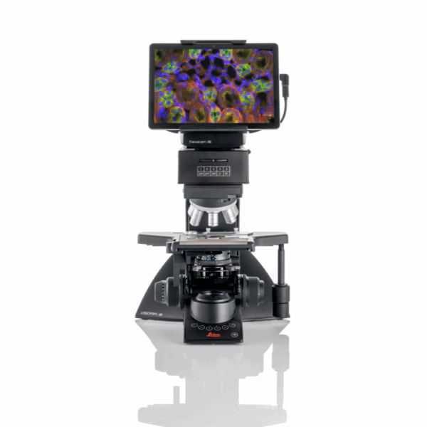 Leica Visoria B